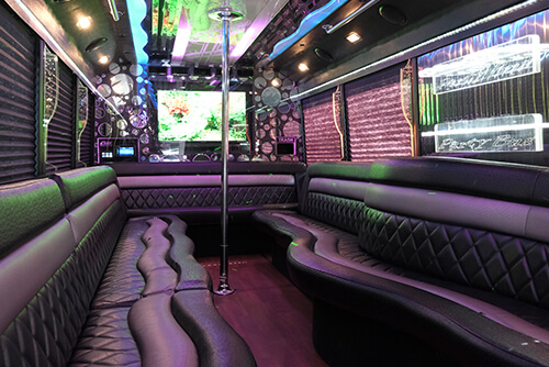 26-passenger party bus